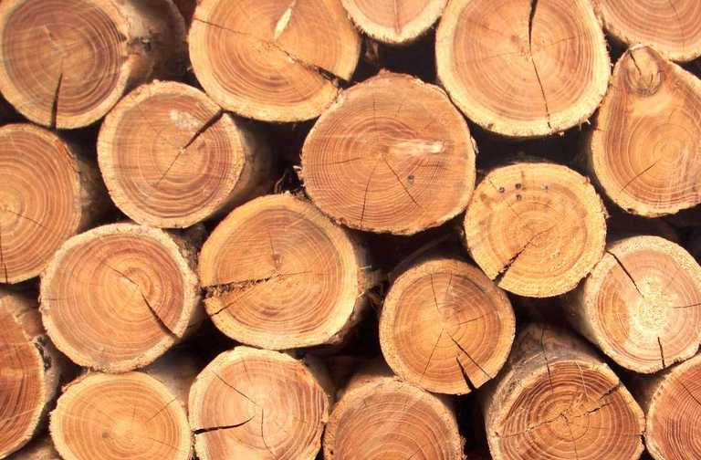 Производство деловой древесины нестандартных размеров